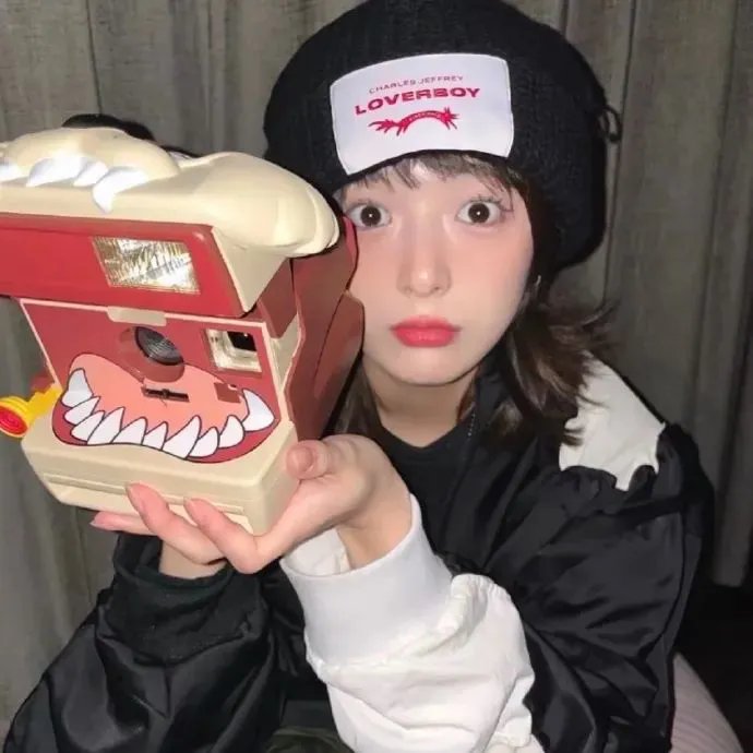 来自收容所的爱